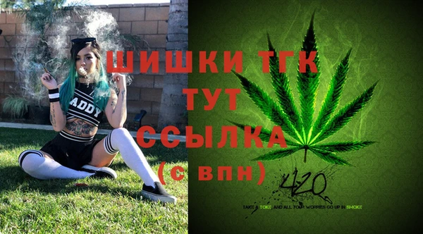 крисы Абинск